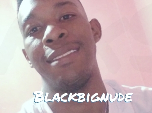 Blackbignude