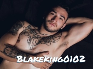 Blakeking0102