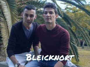 Bleicknort