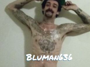 Bluman636