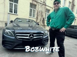 Bobwhite