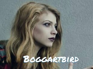 Boggartbird