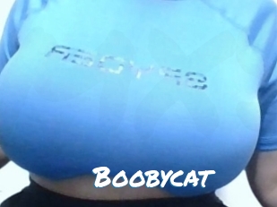 Boobycat