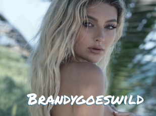 Brandygoeswild