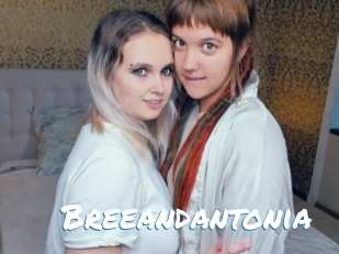 Breeandantonia