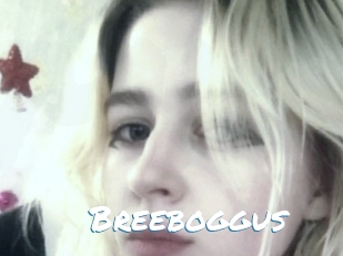 Breeboggus