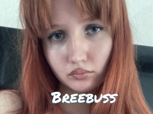 Breebuss