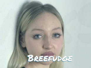 Breefudge