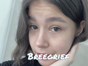 Breegrief