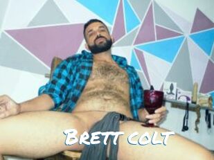 Brett_colt