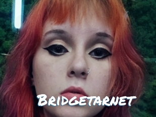 Bridgetarnet