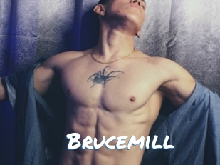 Brucemill