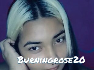 Burningrose20