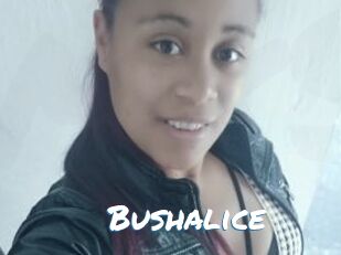 Bushalice