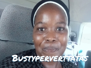 bustyperverttatas Max 50