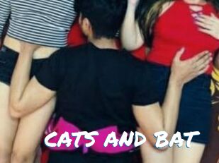 CATS_AND_BAT