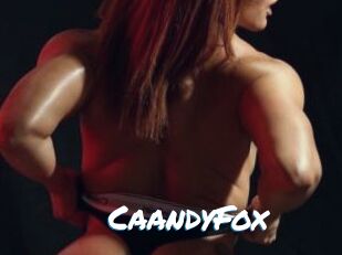 CaandyFox