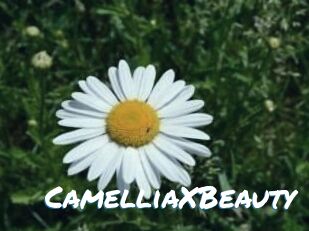 Camellia_XBeauty
