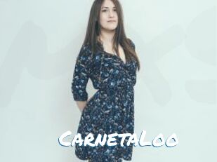 CarnetaLoo Max 50