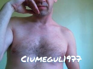 Ciumegul1977