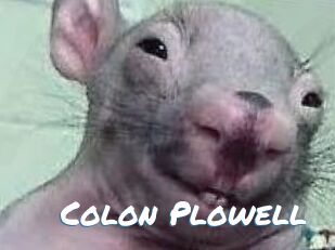 Colon_Plowell