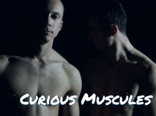 Curious_Muscules
