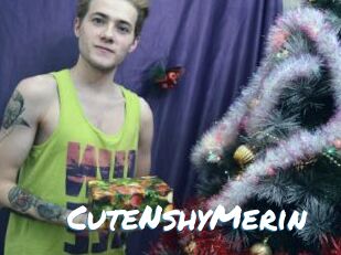 CuteNshyMerin