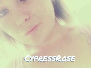 Cypress_Rose