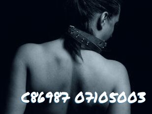 C86987-07105003