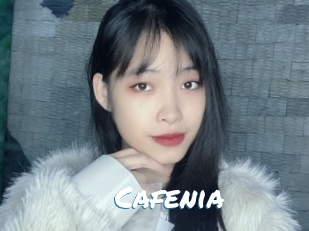 cafenia Max 50