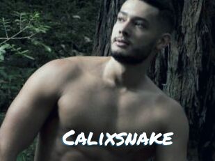 Calixsnake