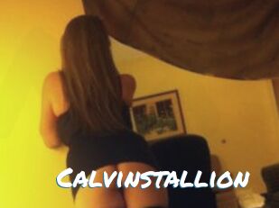 Calvinstallion