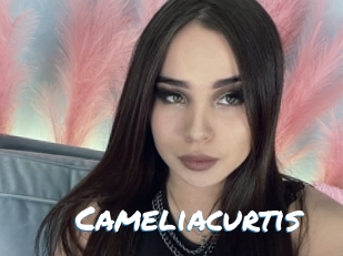 Cameliacurtis