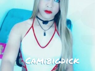 Camibigdick