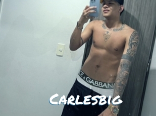 carlesbig Max 50