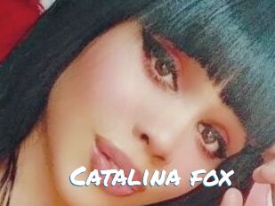 Catalina_fox