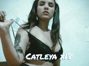 Catleya_x18