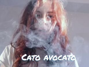 Cato_avocato