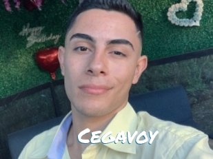 Cegavoy