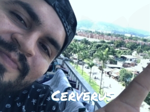 Cerverus