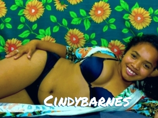 Cindybarnes