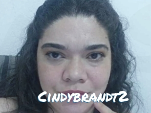 Cindybrandt2