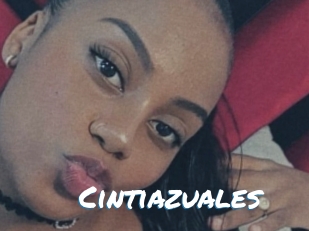 Cintiazuales
