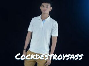 Cockdestroysass