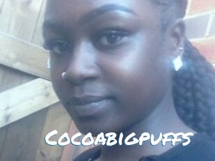 Cocoabigpuffs