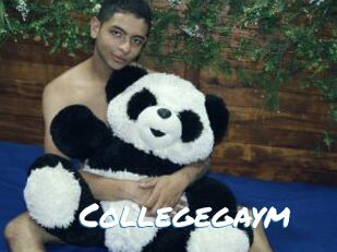 Collegegaym