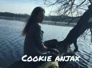 Cookie_anjax