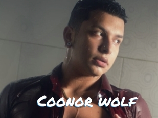 Coonor_wolf