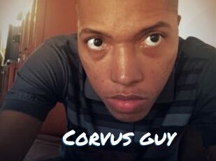 Corvus_guy
