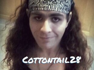Cottontail28